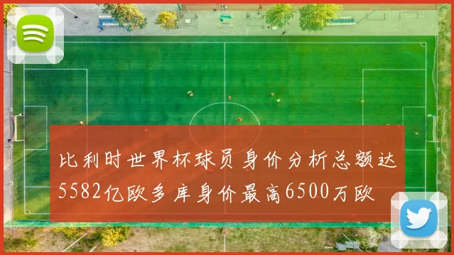 比利时世界杯球员身价分析总额达5582亿欧多库身价最高6500万欧