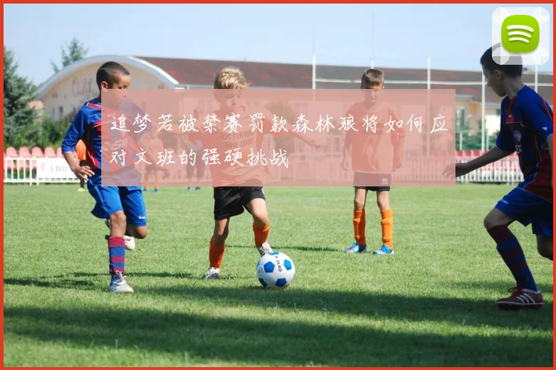 追梦若被禁赛罚款森林狼将如何应对文班的强硬挑战